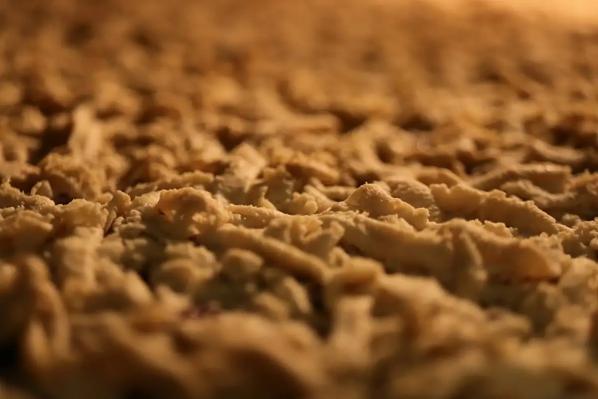 carpet-close-up.webp